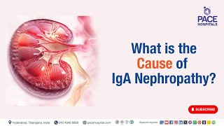 IgA Nephropathy Cause  What is the Cause of IgA Nephropathy  iganephropathy [upl. by Friederike]