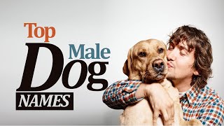 Top Male Dogs Names  Unique Male Dog Names 2020  English Vocabulary [upl. by Ned]