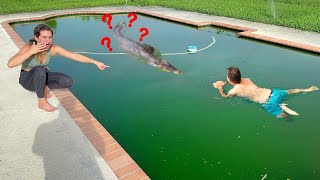 MY BOYFRIEND CAUGHT THE CREATURE IN MY GREENSLIME POOL [upl. by Yesoj472]