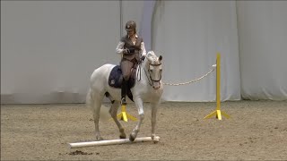 HansePferd ♘ Working Equitation [upl. by Nitsrek]