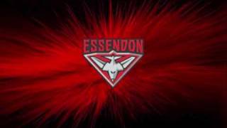 AFL Theme Song Essendon Bombers Football Club [upl. by Rehm]