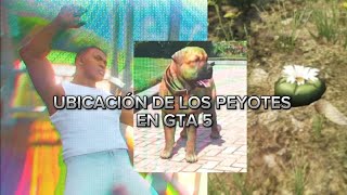 UBICACIÓN DE LOS PEYOTES EN GTA 5 part3 [upl. by Stargell]