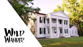 The Historic Gregory House at Torreya State Park • WILD WANDER Apalachicola River [upl. by Schuster846]