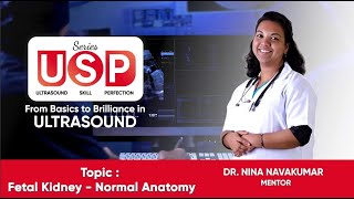 Ultrasound  USP Series  Fetal Kidney  Normal Anatomy  Dr Nina Navakumar StudyULTRASOUND [upl. by Hill932]