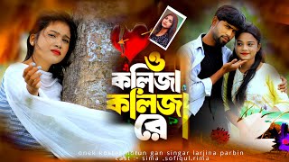 ও কলিজা কলিজা রে  o kolija kolija re  larjina parbin  o kolija kolija re gaan  ns music company [upl. by Innig]