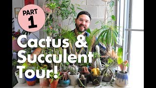 Cactus and Succulent Tour Part 1 • Baetanical [upl. by Townshend838]