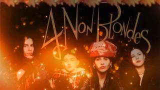 4 Non Blondes  Whats Up Original Acoustic Unreleased [upl. by Aciamaj]