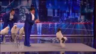 Olate Dogs  Winner of Americas Got Talent 2012 [upl. by Siraj]