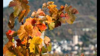 herbstfarbe [upl. by Ahsimit]