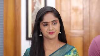 Vidhya No 1  Week In Short  Ep no 513  VidhyaSanjayVedavalli  Zee Tamil [upl. by Bowe]