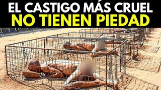 Prisión Rusa Los Presos Esperan Morir a 50 grados Centígrados [upl. by Eluj]