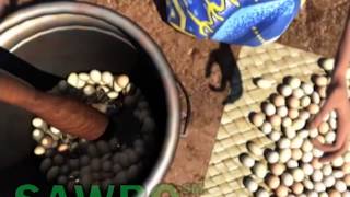 Improved Method of Shea Butter Processing in Yoruba accent from Nigeria [upl. by Sorvats]