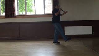 ABSOLUTE BEGINNER LINE DANCE LESSON 3  Electric Slide [upl. by Arabelle439]