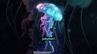 The Immortal Jellyfish  Turritopsis Dohrnii facts knowledge [upl. by Attegroeg304]