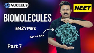 Enzymes II Biomolecules II Nucleus neet Academy [upl. by Eiramlirpa]