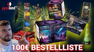 100€ PYROLAND SILVESTER EINKAUFSBESTELLLISTE🤩🔥 [upl. by Gustavus60]