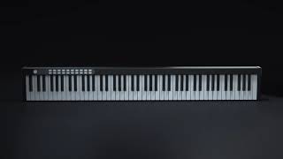 88 Keys piano keyboard with touch sensitive keys [upl. by Otsirave]