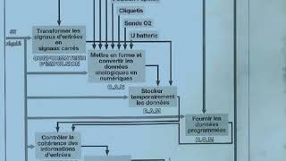 Organisation des calculateur [upl. by Jeno]