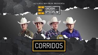 Edicion Especial Disco Corridos 2021 [upl. by Nomi316]