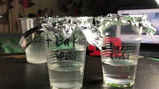 Measure Photosynthesis with floating leaves Gen Bio 1 Activity [upl. by Atoiganap514]