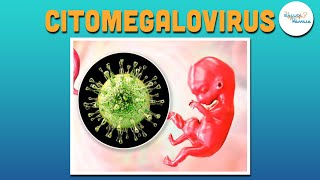 CITOMEGALOVIRUS  TU SALUD TU FAMILIA [upl. by Naelcm]