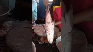 Kingfish cutting skill [upl. by Stephani120]