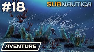 SUBNAUTICA  quotUne Balade amp Un Bureau quot ► AVENTURE 18 [upl. by Lalat]