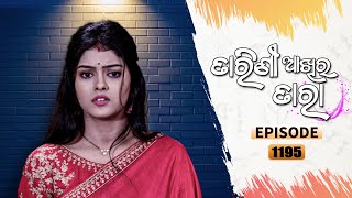 Tarini Akhira Tara  Full Ep 1195  19th Jan 2022  Odia Serial – TarangTV [upl. by Miarfe]