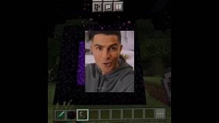 Minecraft potel viralvideo subscribe minecraft video remix [upl. by Daisey576]