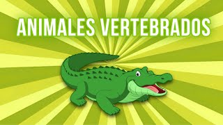 Los Animales Vertebrados 🐊  Vídeo Educativo para Niños [upl. by Lotus291]