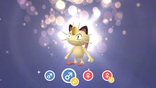 Shiny Meowth Evolution [upl. by Krantz430]