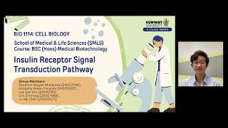 12 Insulin Receptor Signal Transduction Pathway [upl. by Nappy]