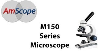 Microscope Expert  Compound Microscope AmScope M150 Unboxing Setup and Tutorial [upl. by Caro]