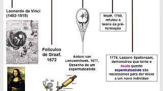 EMBRIOLOGIA PARTE 1 [upl. by Ayoral]