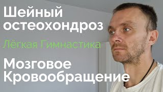 Мозговое кровообращение Шейный остеохондроз  Лёгкая Гимнастика на каждый день [upl. by Os]