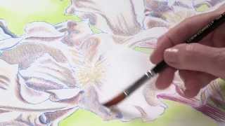 Preview  Watercolor Pencil Techniques How to Paint Flowers with Kristy Kutch [upl. by Asert522]