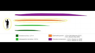 Gigantophis the giant extinct snake of the Sahara Desert [upl. by Jared]