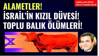 ALAMETLER İSRAİLİN KIZIL DÜVESİTOPLU BALIK ÖLÜMLERİ Abdullah Çiftçi [upl. by Noelyn577]