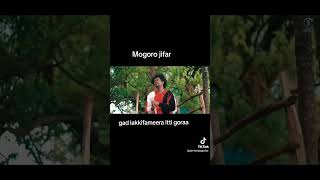 Mogoroo jifaar Ethiopian new oromo music 2024 [upl. by Farnsworth]