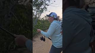 Setting hook on Massive Arapaima In Brazilian Amazon catcharapaima fishing fishinglife [upl. by Niatsirhc506]