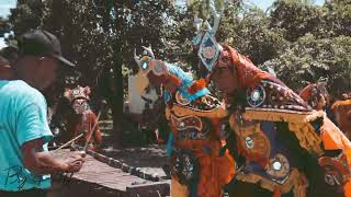 BAILE DEL VENADO DANZA DE VENADO ESTOR IZABAL [upl. by Yelhak993]