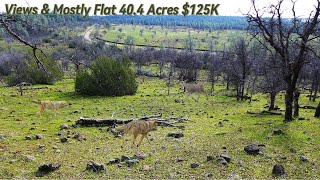 Acreage For Sale In California  Hunting Homesite or Cattle Ranch [upl. by Wernick]