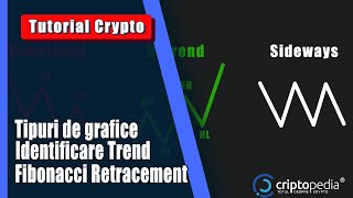 Tutorial Tipuri de Grafice şi Fibonacci Retracement [upl. by Anhpad]