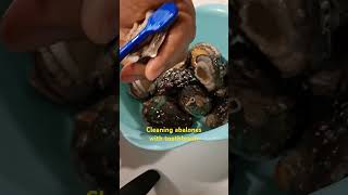 cleaning abalones shortfeeds cecilebilbao4076 [upl. by Ezarra33]