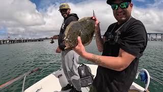 Fishing San Diego bay Spotties halibut 052524 Hookup Baits [upl. by Aneeh]