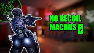 Razer Synapse Recoil Macro for R6 [upl. by Nirel]