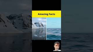 amazingfacts interestingfacts amazing science factbeast theamazingfactscience experiment [upl. by Sema]