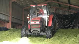 CASE IH 4240 CLAMPING SILAGE [upl. by Zurc]