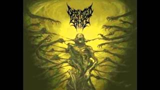 DEFEATED SANITY  Frenzy [upl. by Billy735]