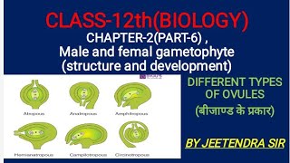 CLASS 12th  CHAPTER2 PART6 male and female gametophyte structure and development [upl. by Archibald]